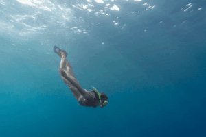 Femme qui fait de la plongée sous marine