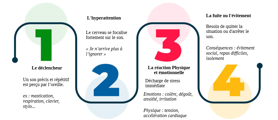 Schéma illustrant le mécanisme de la misophonie en 4 étapes : son déclencheur, hyper-attention du cerveau, réaction émotionnelle et physique, puis fuite ou évitement.